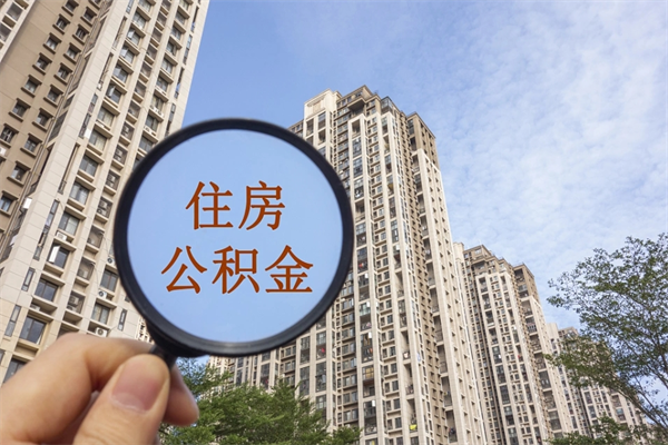 衡水离职可以取出公积金吗（离职可以取公积金嘛）